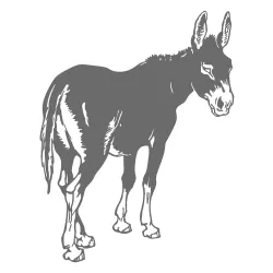 Vektorisana ilustracija magarca