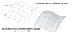 Gordonove površi